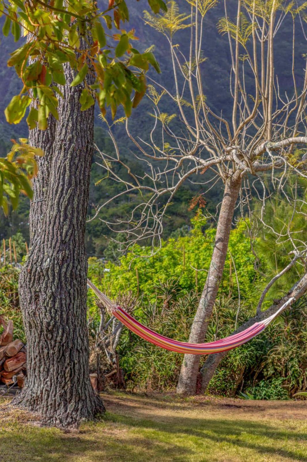 La Villa Soalic Cilaos Bagian luar foto